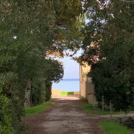 Villa Casa Grande, Historic By The Sea, In The Sea